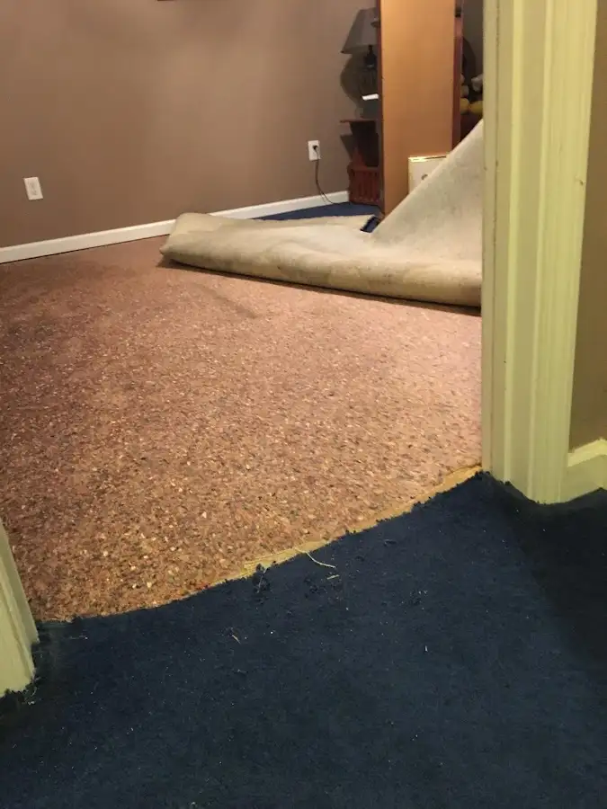 Carpet pad removal revealing water damage during Water Mitigation Services in Milton