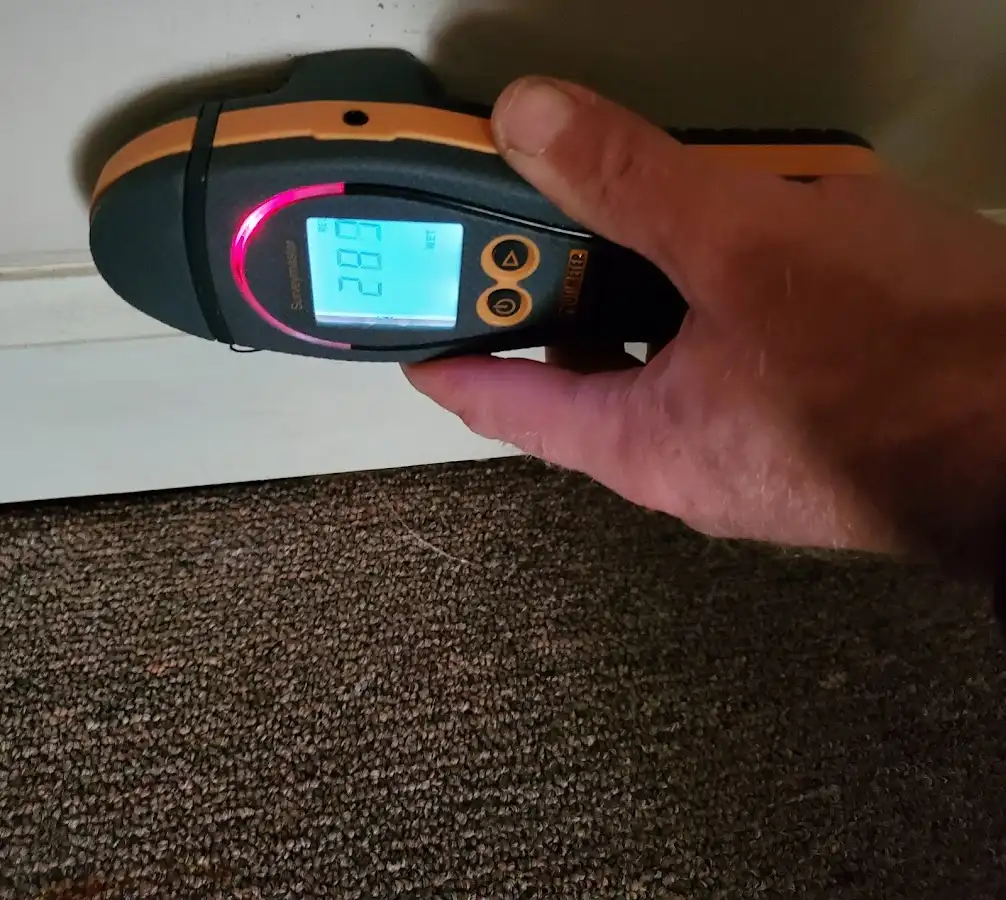 Moisture detection at baseboard during Burst Pipe Cleanup in Milton
